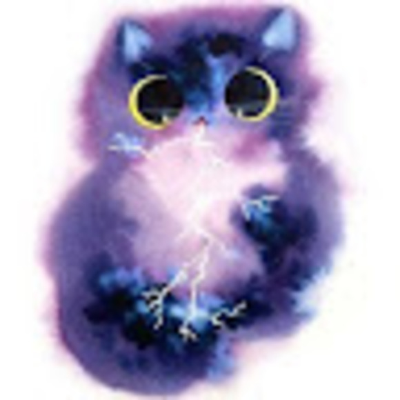 Meet your Posher, Bea - Picture 1 of 1